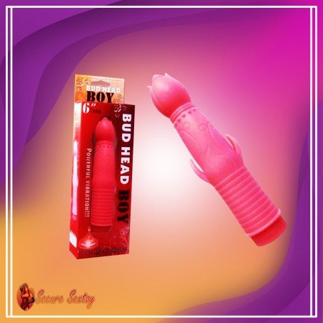 Bud Head Boy Fun Vibrator FV-001